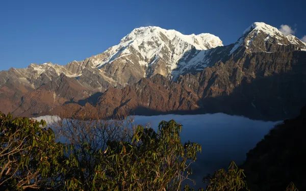 Annapurna South and Hiunchuli towering above a thick bed of clouds