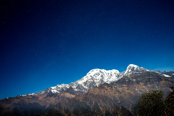 Stars scattered across a deep blue sky above the snowy Annapurna range