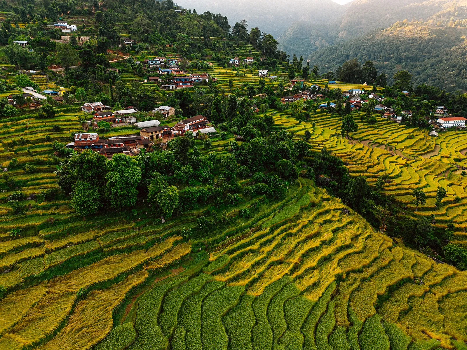 Panchase & Mardi Trek