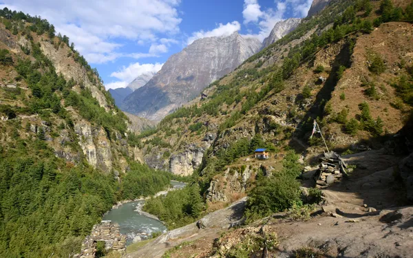 A bright turquoise river cutting through a valley of high green hills