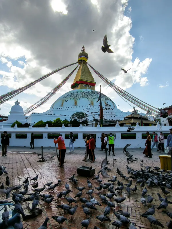 Flocks of pigeons congregating at the base of Boudhanath Stupa