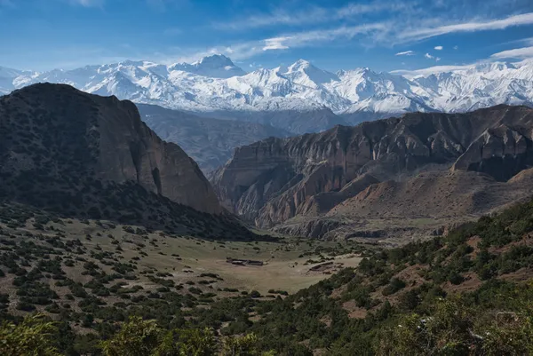 A lush green valley floor nestled between rock formations beneath a massive snow-capped mountain range