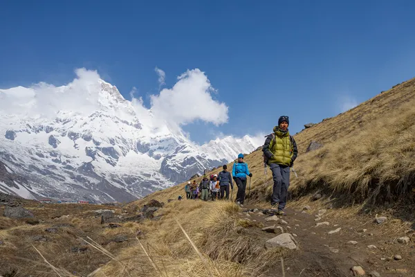 A line of trekkers on a grassy mountainside with snowy summits behind