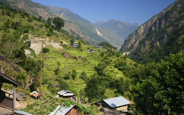 Stone houses and stepped farmland on a mountainside