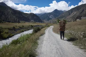 A villager carrying firewood near Manang