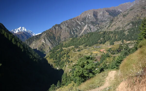 A narrow path winding through green hills toward snow peaks