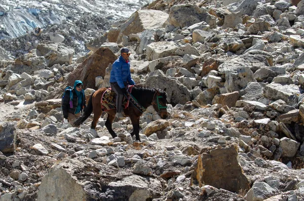 A local guide and pony navigating the rocky descent from Renjo La