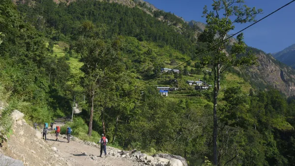 Trekkers following a riverside road through dense green forest