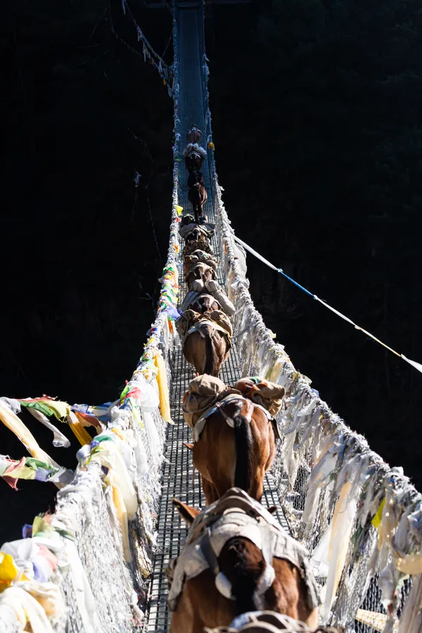 A caravan of supply mules traversing the high suspension bridge over the Dudh Koshi
