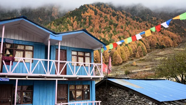 A bright blue guesthouse framed by golden autumn trees
