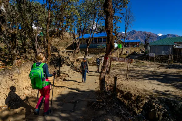 Trekkers reaching Low Camp among rhododendron and oak forests