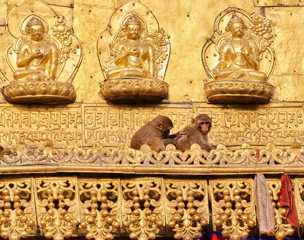 Macaques grooming each other in front of gilded deities