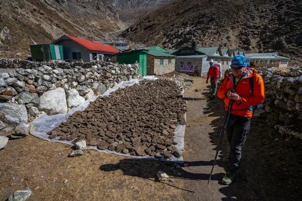 A mountain lodge at Thangnak village