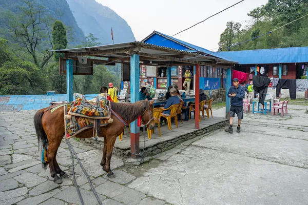 A saddled horse in the stone courtyard of a blue-roofed mountain teahouse