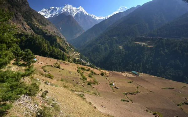 Snow-clad summits rising above a deep valley
