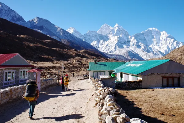 Ama Dablam guarding the valley above Pheriche at 4,371 m