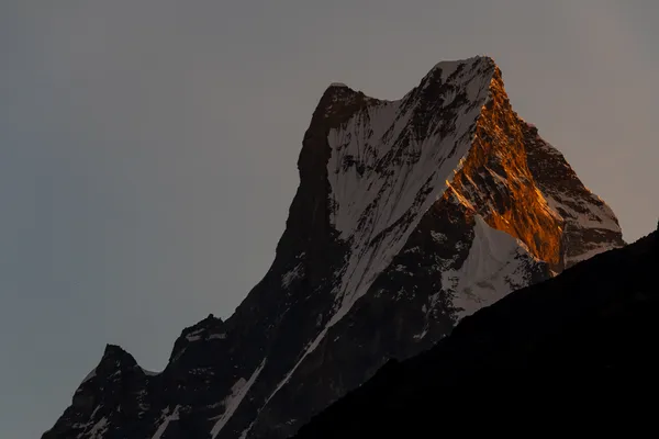 Machapuchare south face catching the first golden light of sunrise