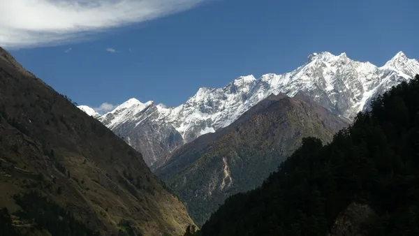 Snow-capped mountain range seen through a forested valley