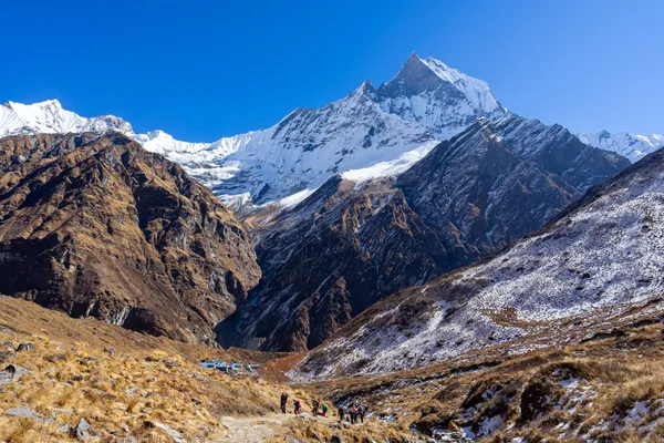 Trekkers on a trail approaching Machapuchare with snow on the ground