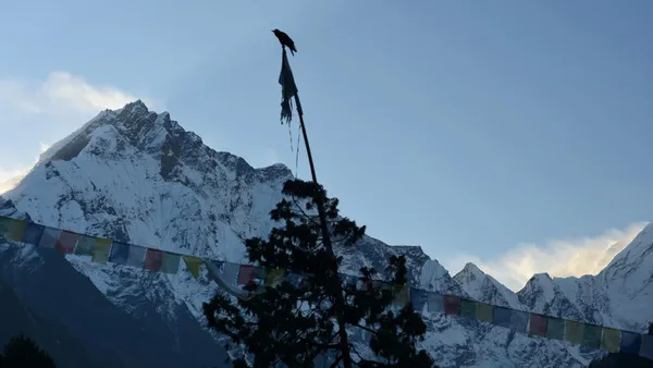 Prayer flags and a bird silhouetted against snow-capped peaks at dusk