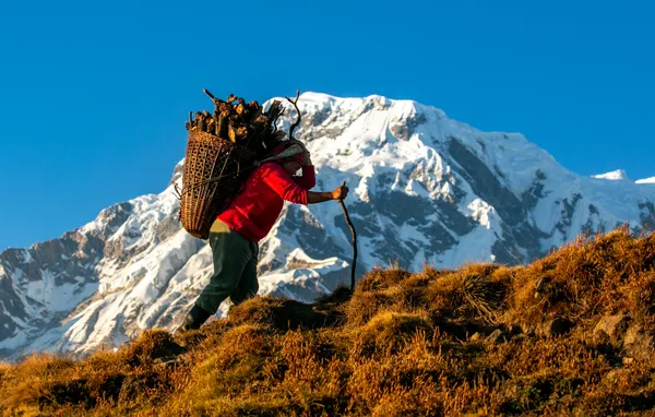 A porter carrying a large woven basket uphill beneath a snowy mountain face
