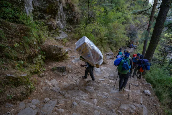 A porter carries supplies through the lush forest section between Namche and Monjo