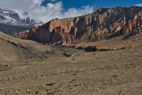 Red sedimentary cliffs towering over the arid landscape near Dhakmar on the trail to Ghar Gompa