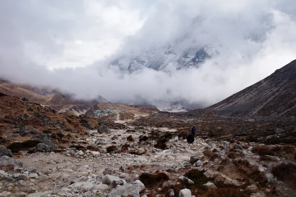 Trekkers navigating the Lobuche trail while descending toward Pheriche