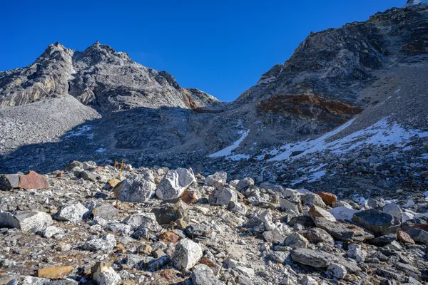 The steep, boulder-strewn trail descending from 5,420 m toward Thagnak