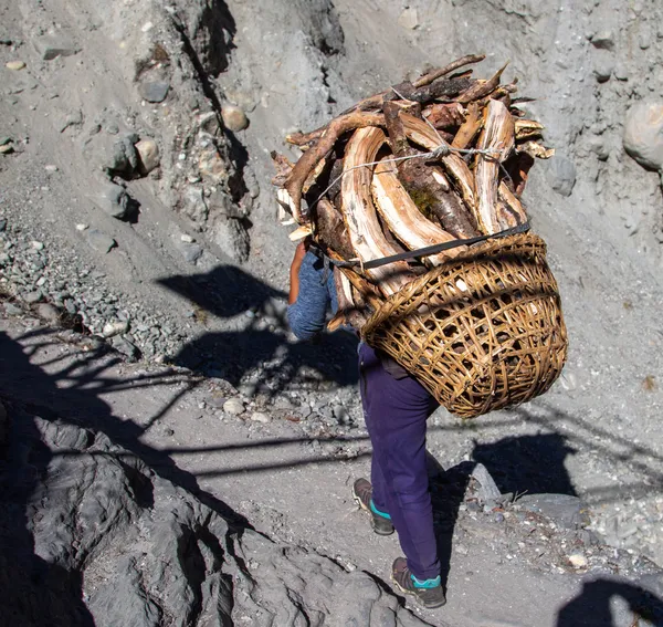 A villager carrying a basket of firewood along the rocky trail toward Thame