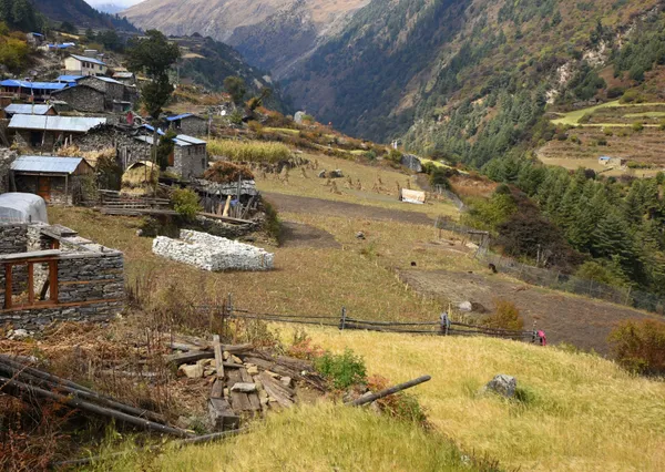 Stone houses and terraced fields of Sho village nestled in a deep forested valley