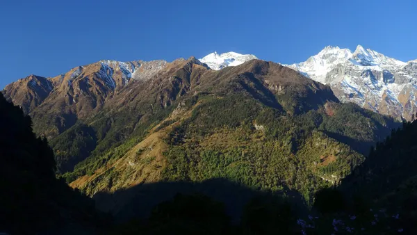 Snow-covered peaks towering above a lush green forest canopy