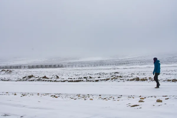 A lone hiker crossing a vast snow-covered landscape under a misty Himalayan sky