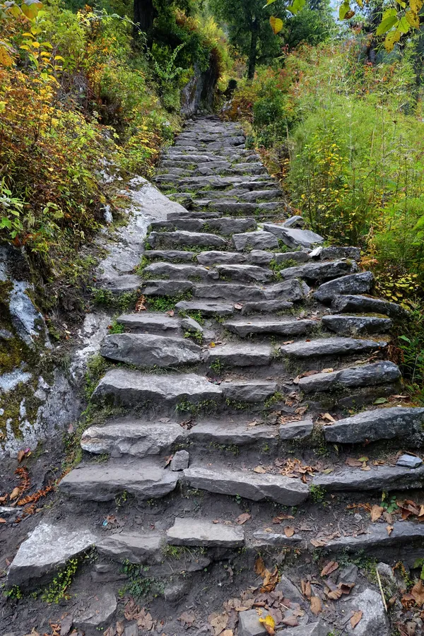 Natural stone steps winding upward through a forest ablaze with autumn colors