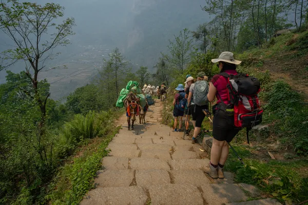 Trekkers descending broad stone steps with green mountain slopes ahead