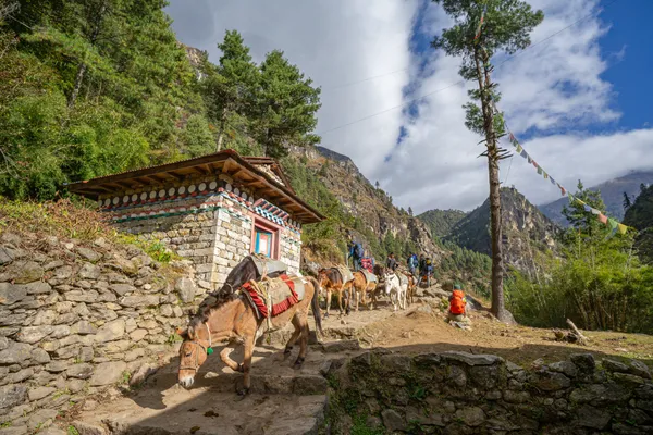Mule trains passing a stone chorten on a mountain trail