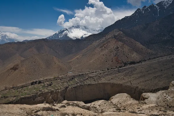 Vibrant green terraced fields contrasting against arid cliffs and snowy peaks near Chhusang
