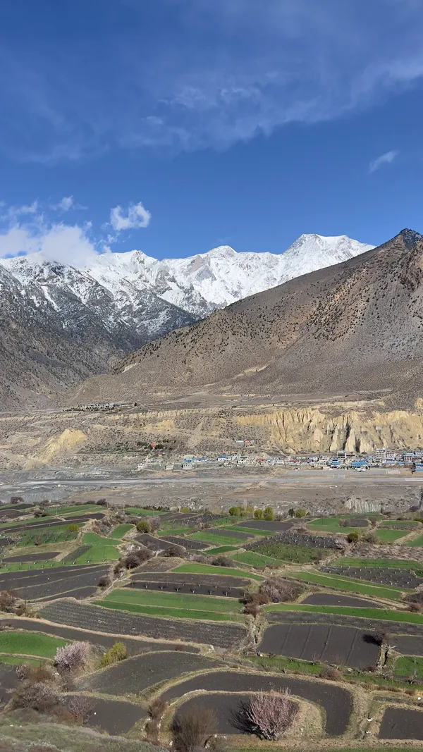 Green terraced fields contrasting with arid cliffs and distant snow-capped Nilgiri peaks