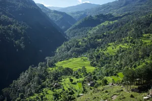 Sun-drenched rice terraces in a steep valley
