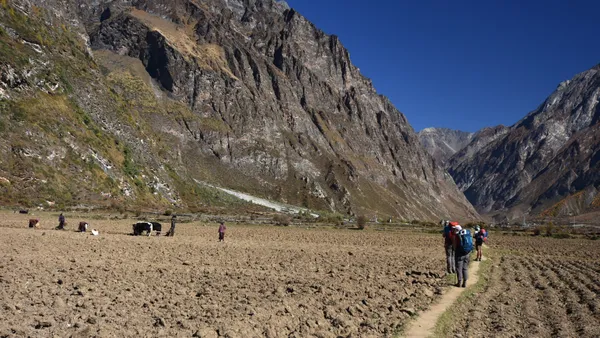 A path traversing broad farmland beneath an expansive sky