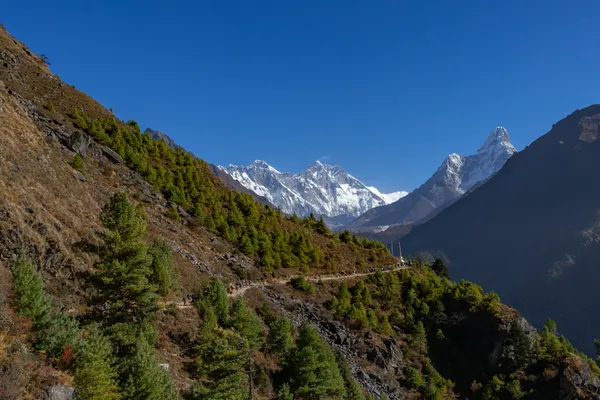 The trail descending through forest toward the Dudh Koshi river crossing
