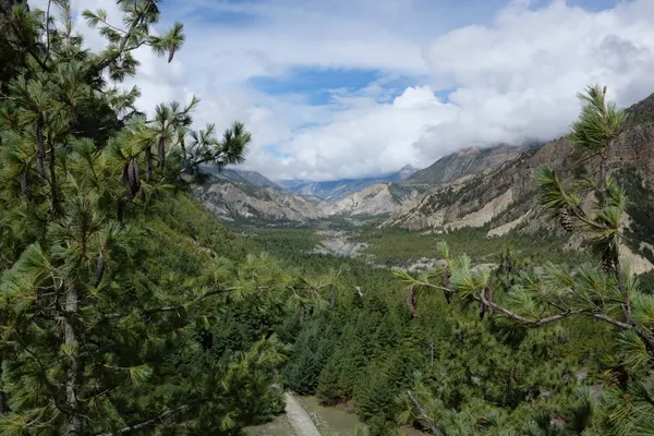 Pine forests and eroded slopes of the upper valley
