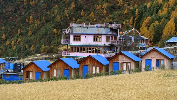 Blue-roofed guesthouses beside a field of ripening golden barley