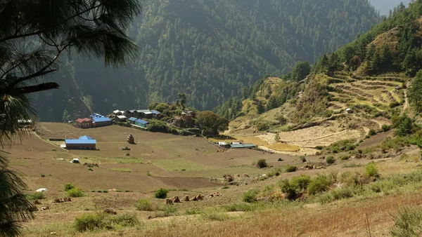 A mountain settlement with colorful rooftops among pine trees