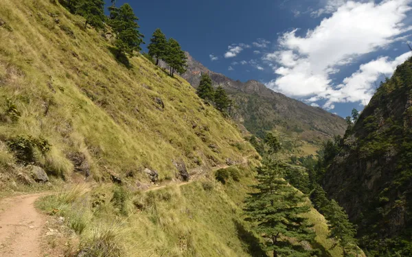 A narrow dirt path tracing a steep green slope