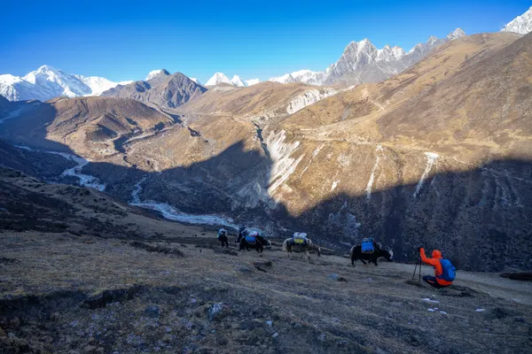 Yak caravans transport supplies along high-altitude ridges overlooking the Dudh Koshi valley
