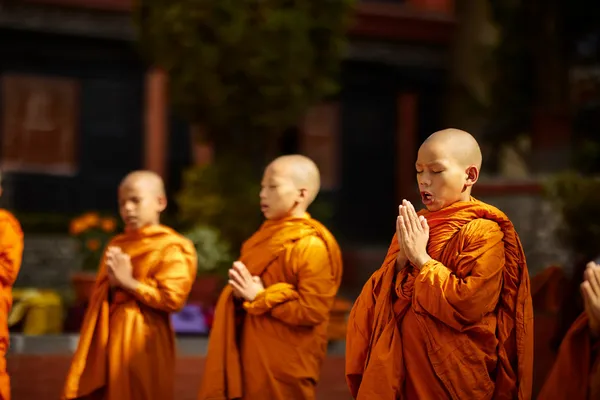 Buddhist novices in saffron robes chanting with hands pressed together